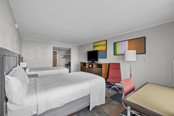Oasis Hotel interior